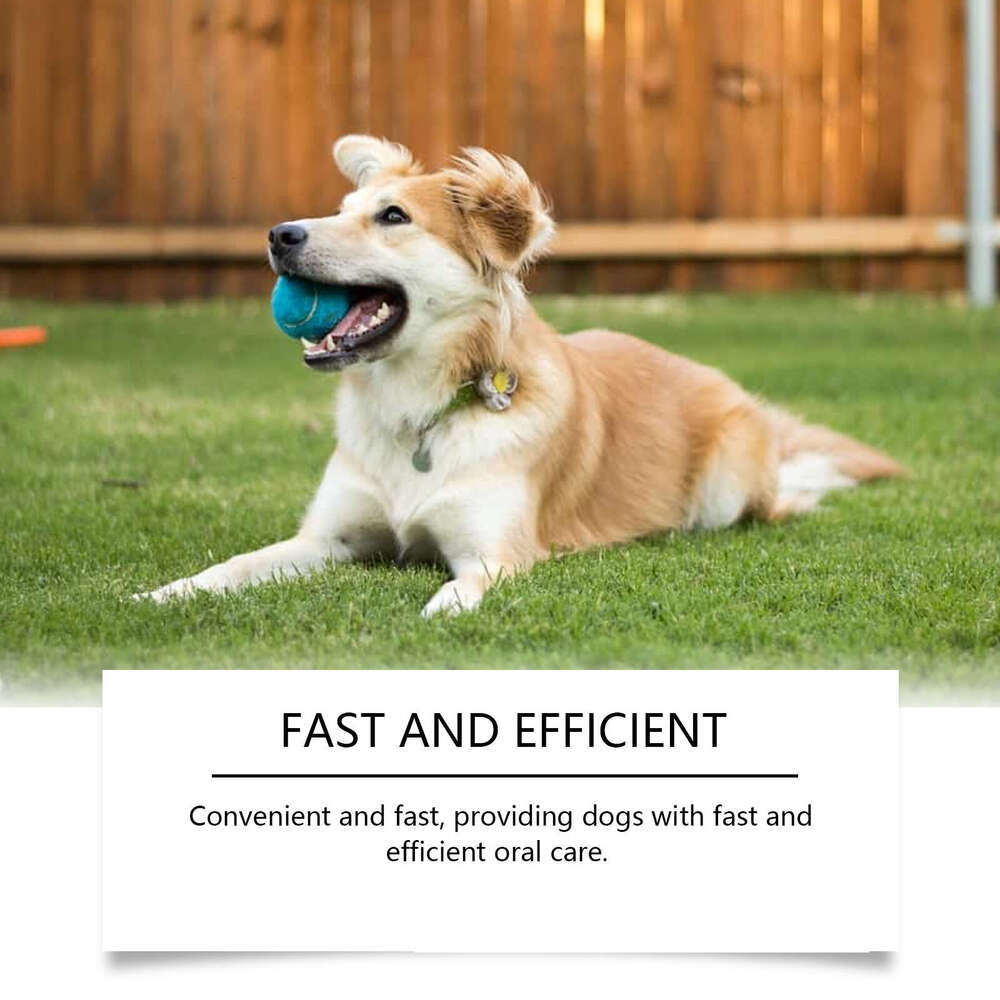 Yegbong Pet Oral Water for Dogs, Cleans Teeth, Tartar, Odor, Long-lasting Fresh Care S260203