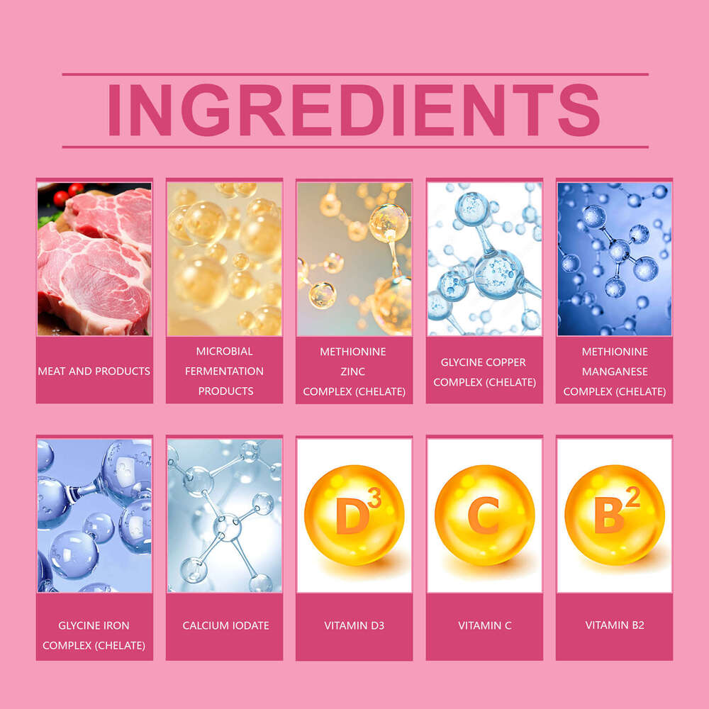 Yegbong Trace Element Tablets Cat Vitamin Balanced Diet Nutritional Supplement S260203