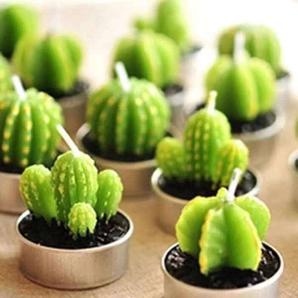 Creative Handmade Aromatherapy Succulent Plants Rose Candles Cactus Home Decoration Ornaments Birthday Gift Lotus Candle S260204
