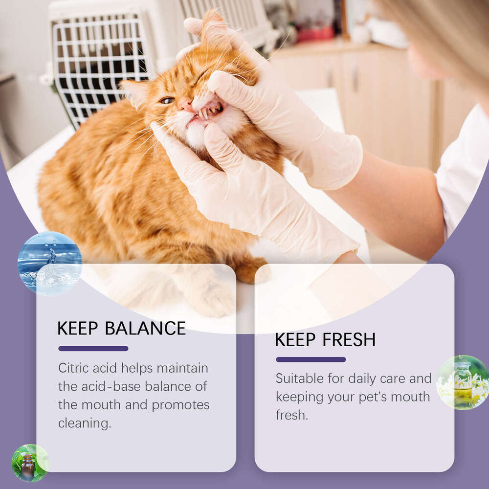 Yegbong Repair Pet Oral Cleaning Stain Removal Yellow Teeth Daily Care Gel S260203