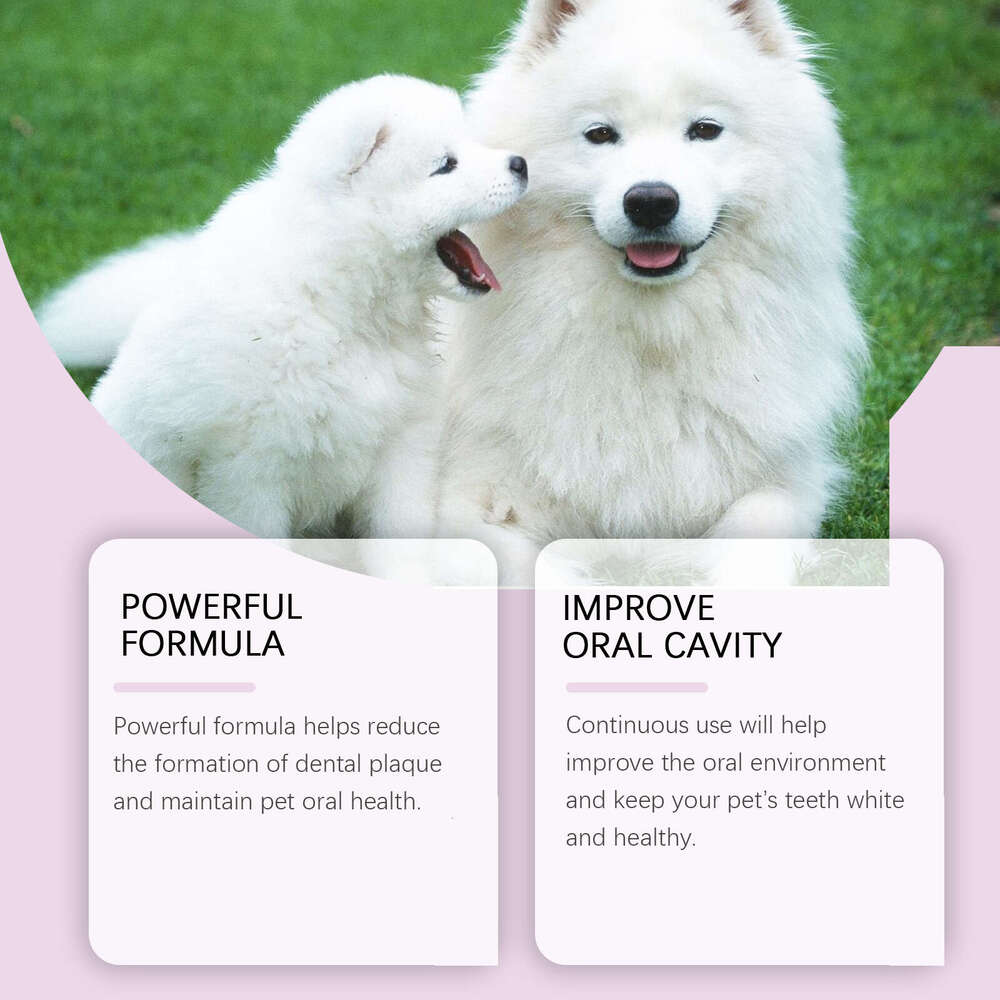 Yegbong Dental Oral Cleaning Pet Stain Removal Yellow Teeth Care Spray S260203