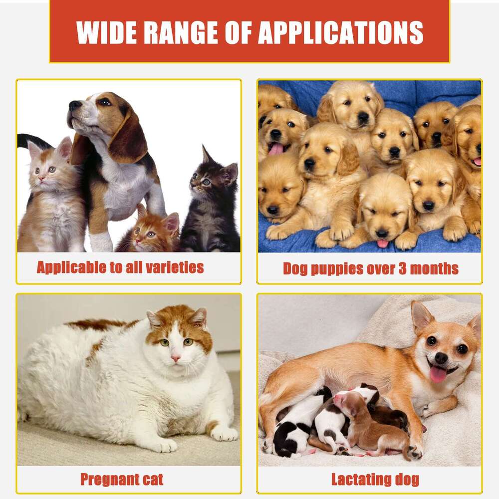 Yegbong Cat Dog Skin Wound Cleaning Hemostatic Relieves Pet Injuries Healing Powder S260203