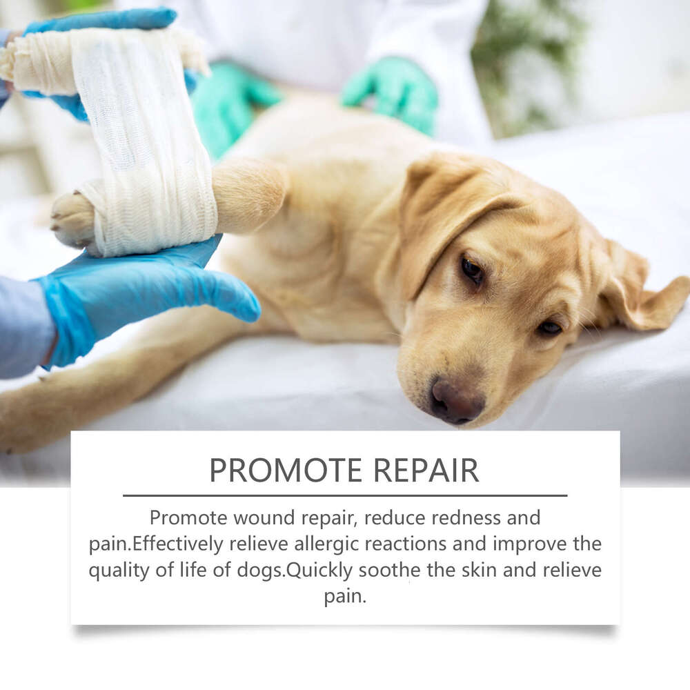 Yegbong Cleaning Dog Pet Plant Essence Skin Care Spray S260203