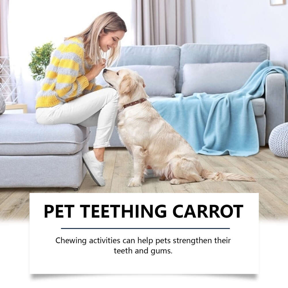 EelJoy Cute Carrot Teething Care Pet Teeth Chewable Anti-Bite S260203