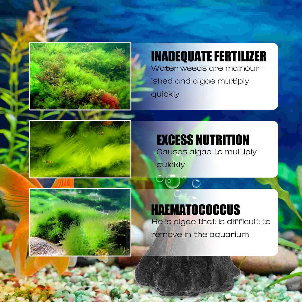 Yegbong Aquarium Cleaning Agent Fish Tank Moss Green Water Algae Remover S260203