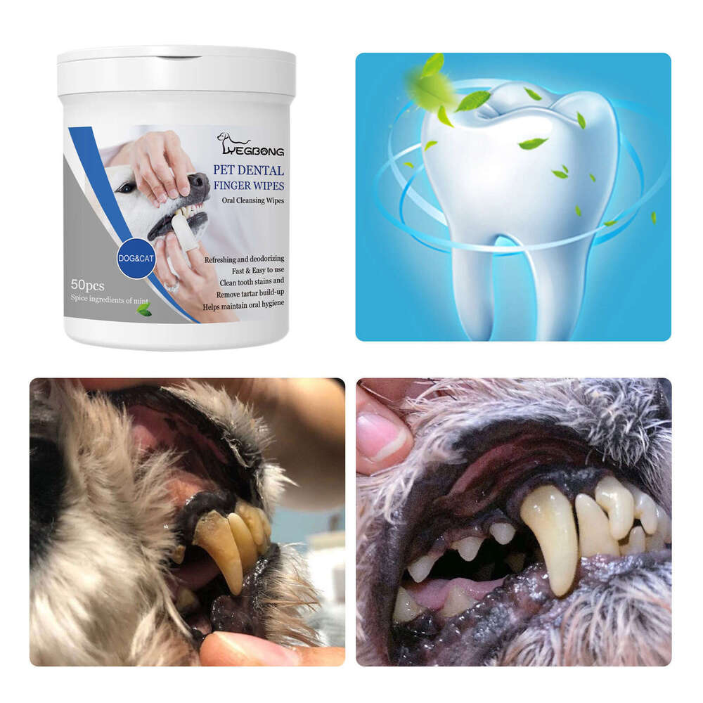 Yegbong Pet Dental Wipes Bad Breath Tartar Yellow Teeth Dog Oral Care Finger Cots S260203