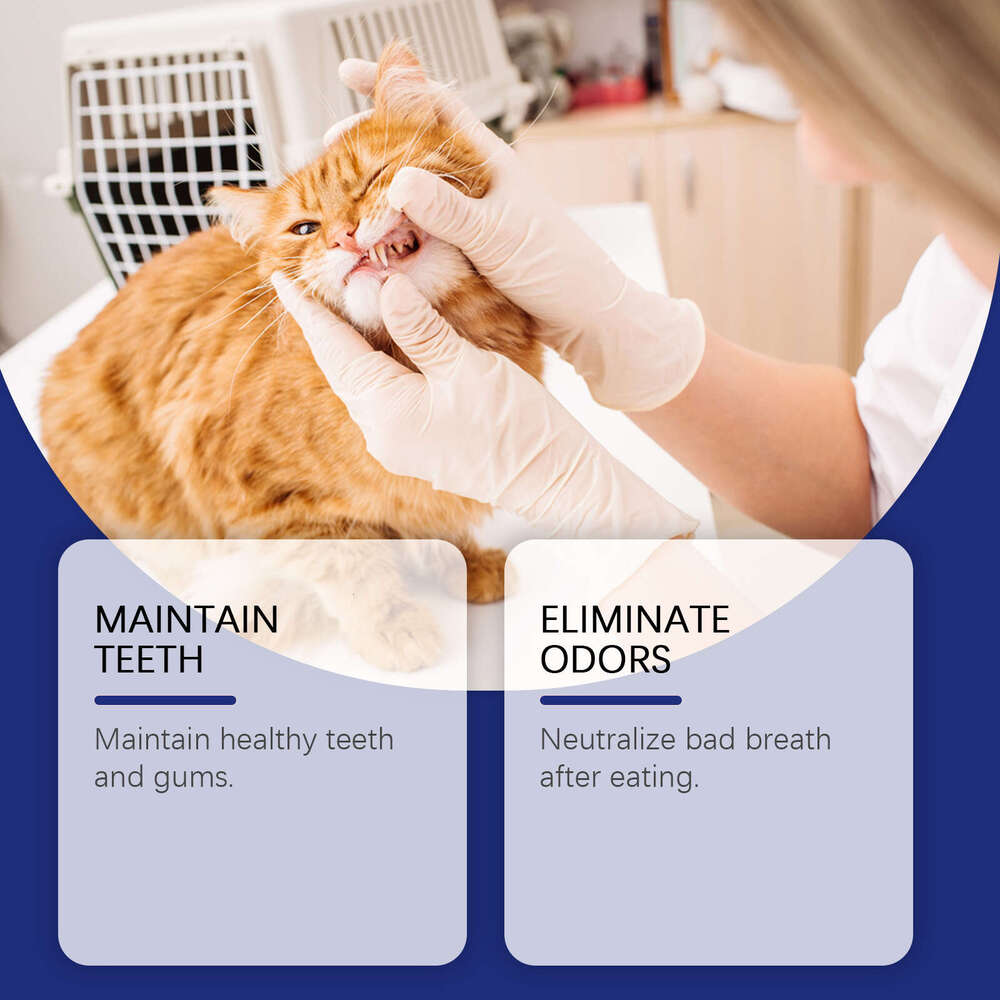 EelJoy Dental Powder Pet Gentle Cleaning Tartar Stains Oral Odor Fresh Breath S260203