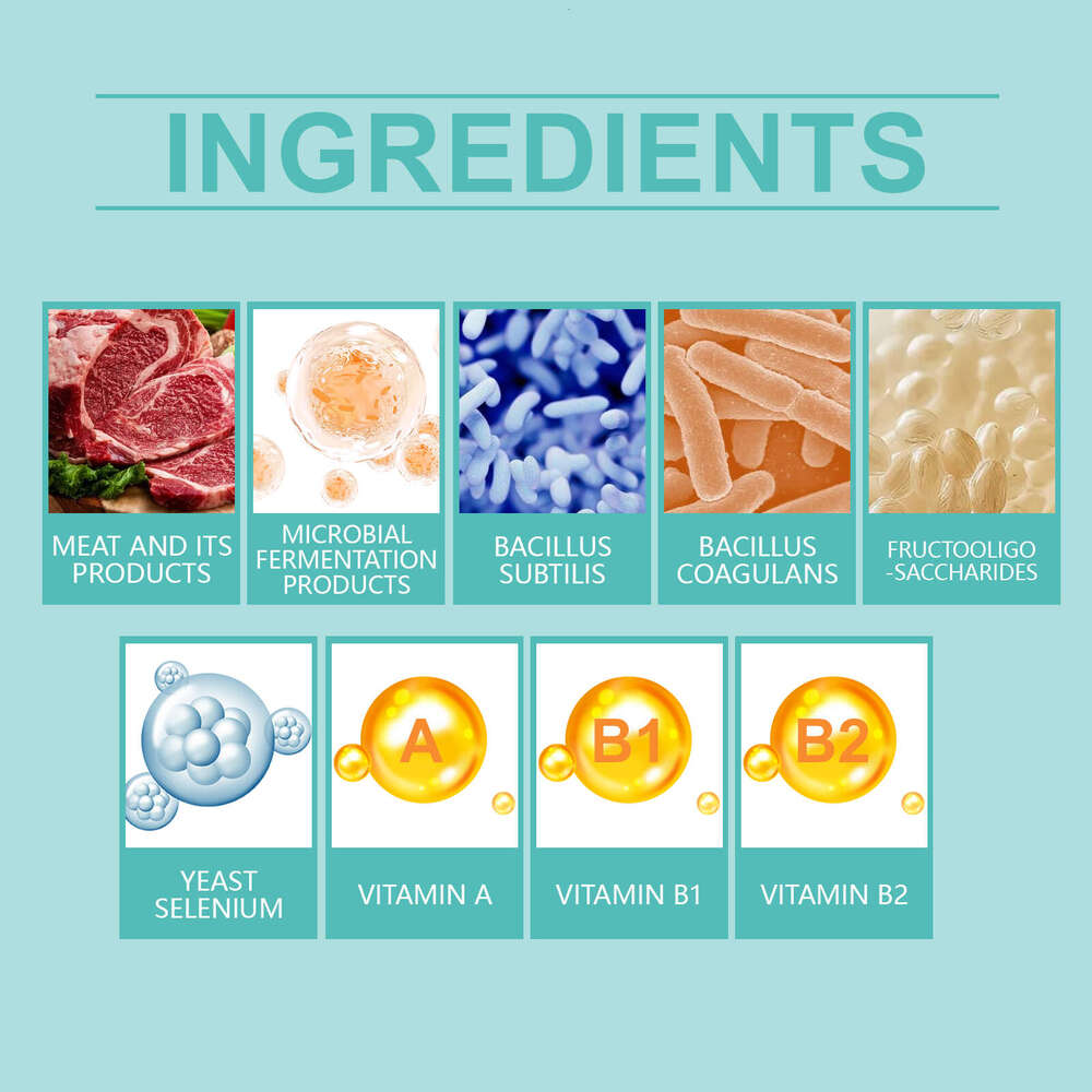 Yegbong Cat Probiotic Tablets Improve Gut Health Balance Digestion Absorption Pet Nutritional Supplement S260203