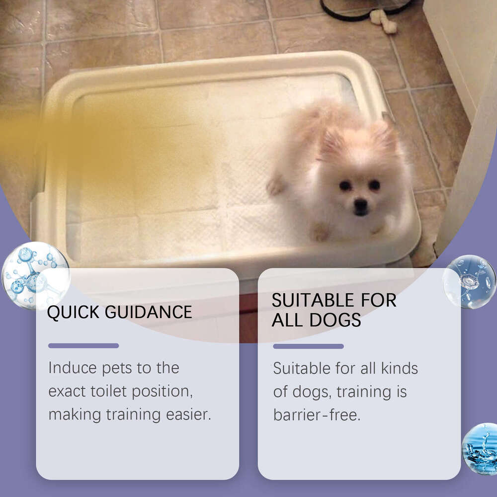 Yegbong Aid Indoor Outdoor Pet Elimination Dog Potty Training Spray S260203