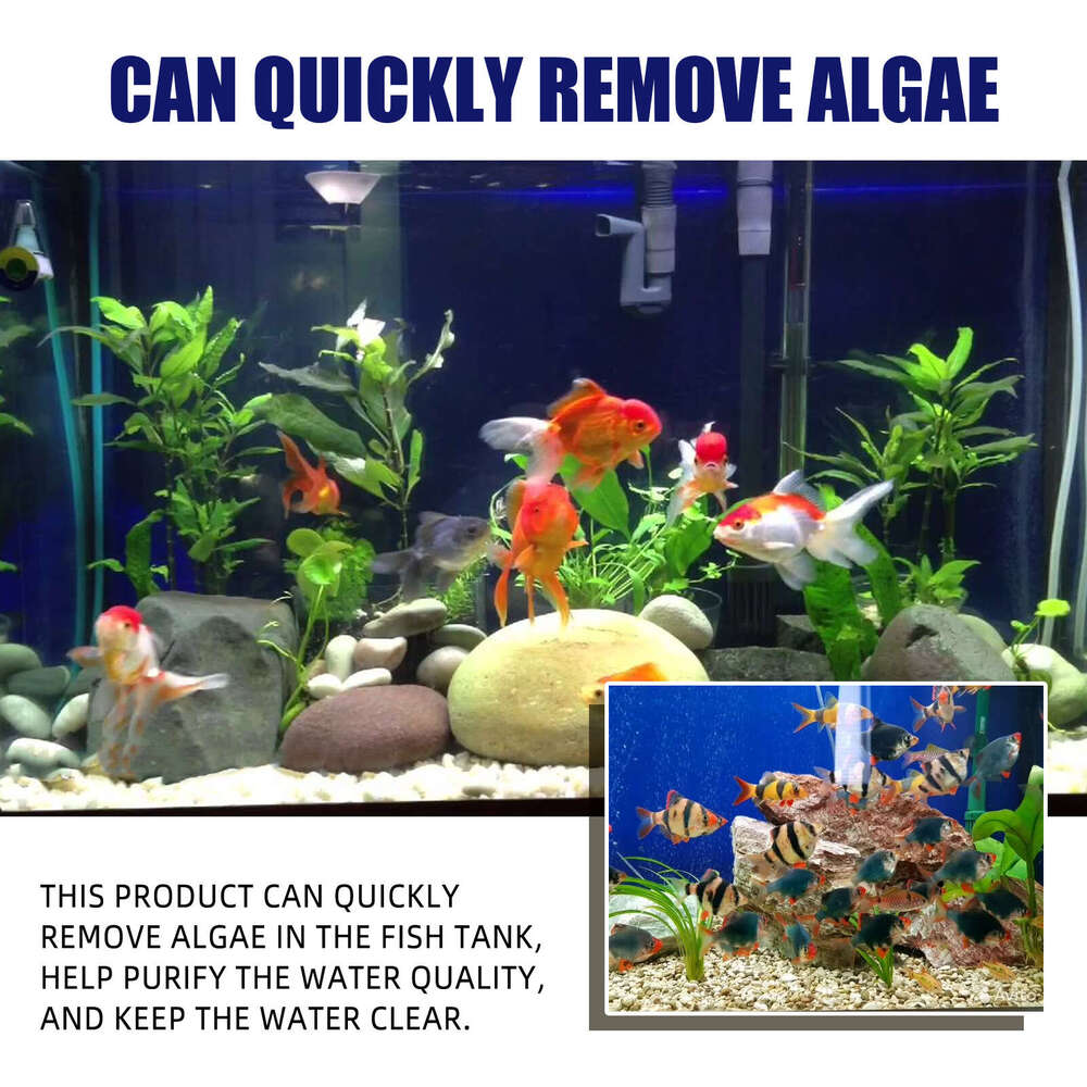 Yegbong Control Solution Aquarium Fish Tank Green Algae Remover S260203