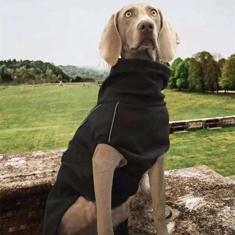 Famous brand Dog Outdoor Jacket Waterproof Reflective Pet Coat Vest Winter Warm Cotton Clothing for Large Middle Dogs Labrador pupakaIK