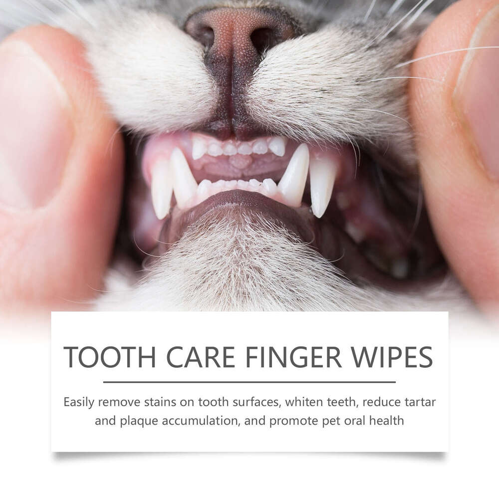 Yegbong Cat Dog Dental Wipes Pet Teeth Tartar Cleaning Repair Fresh Care Finger Cots S260203