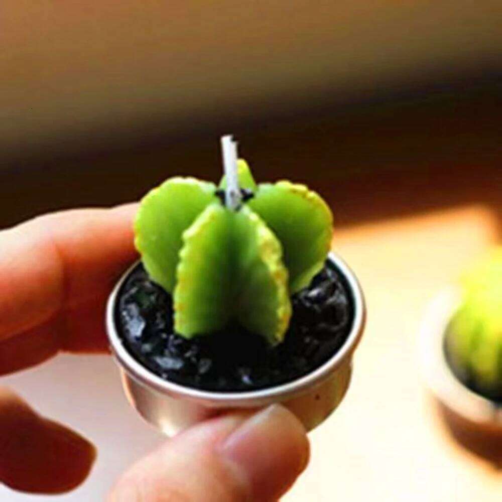 Creative Handmade Aromatherapy Succulent Plants Rose Candles Cactus Home Decoration Ornaments Birthday Gift Lotus Candle S260204