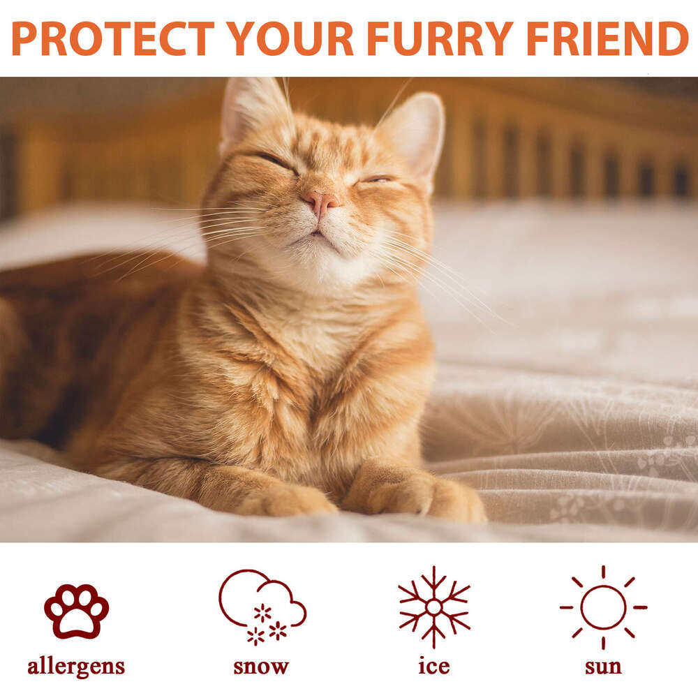 Yegbong Pet Moisturizing Nourishing Anti-Dry Crack Cat Dog Protection Foot Pad Paw Balm S260203