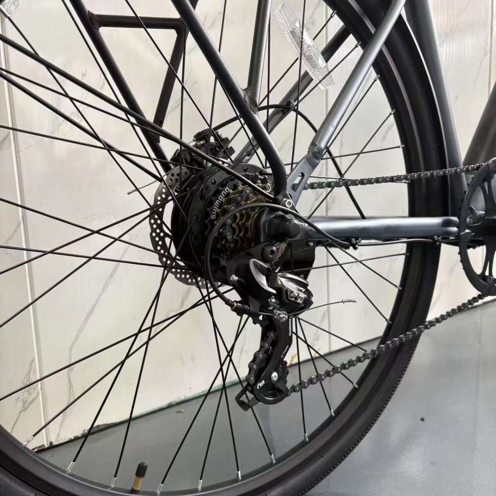 Grey Knight Bicycle Adult Commuter Mid-Motor Mountain Urban Portable Electric Pedal Bike