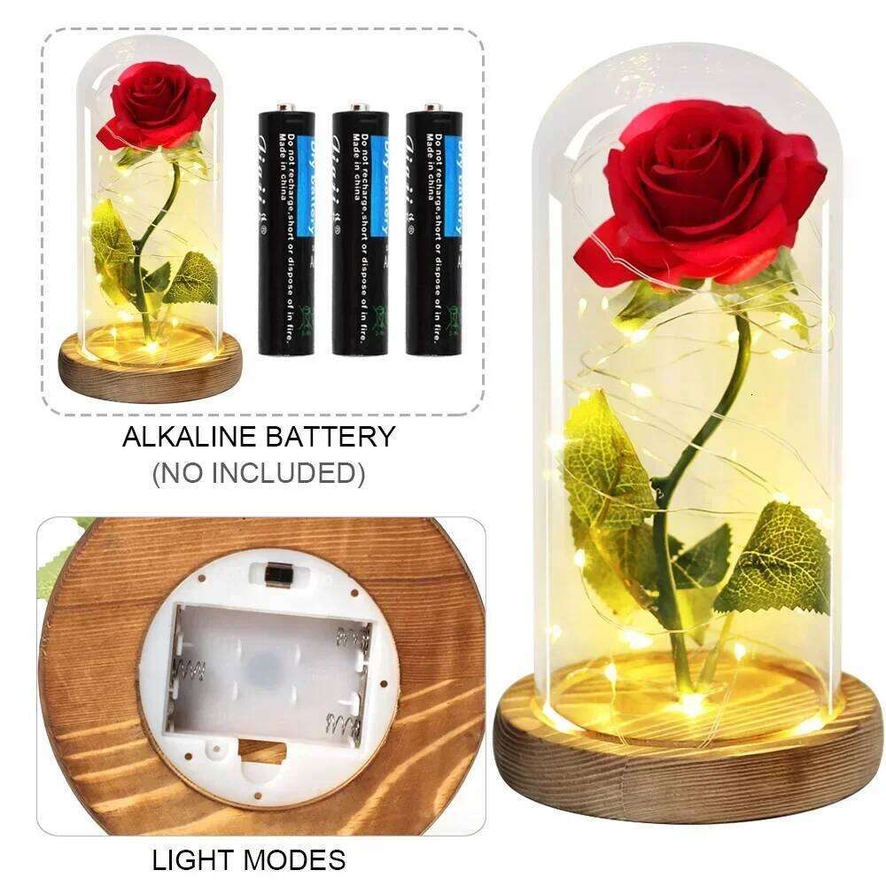 Acrylic Dome Eternal Rose Artificial Flowers Beauty and The Beast Inspired Gift for Valentine Wedding Birthday Home Decor S260204