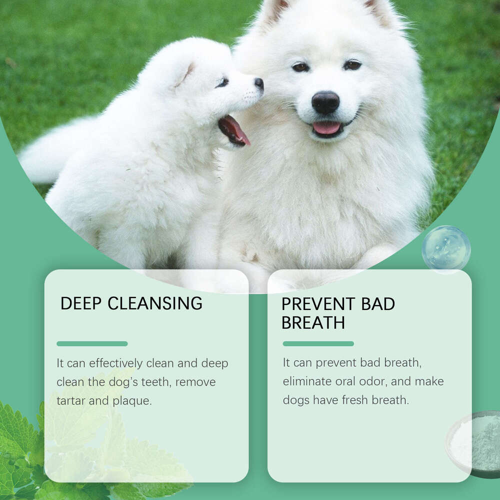 Yegbong Dog Dental Gentle Formula Fresh Breath Protects Pet Oral Health Tooth Cleaning Powder S260203