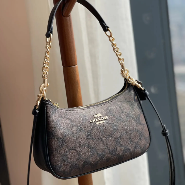 10A Teri Bag Designer Bags Luxury Bags Crossbody Bags Handbags Ladies Fashion Designer Bags 2025 High Quality Leather Underarm Bags Wallet Black Classic Bag