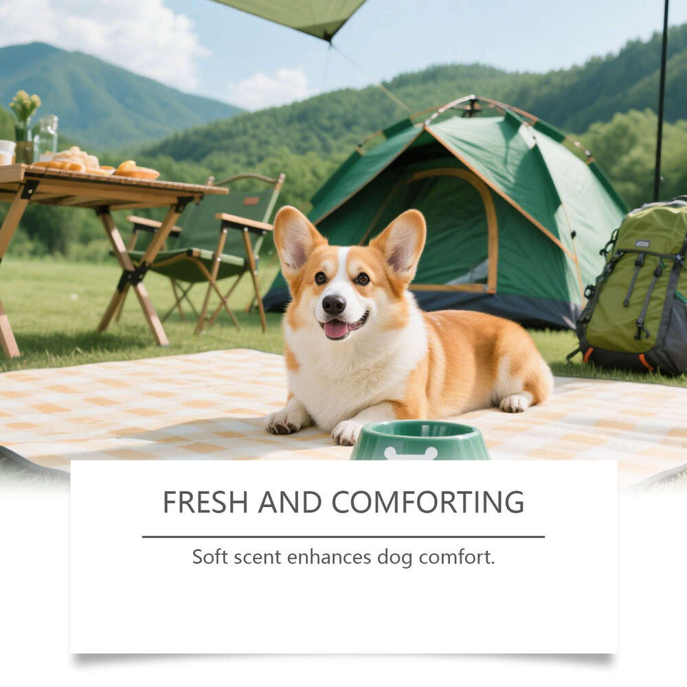 Yegbong Dog Gentle Ingredients Fresh for Pets Discomfort External Use Care Spray S260203