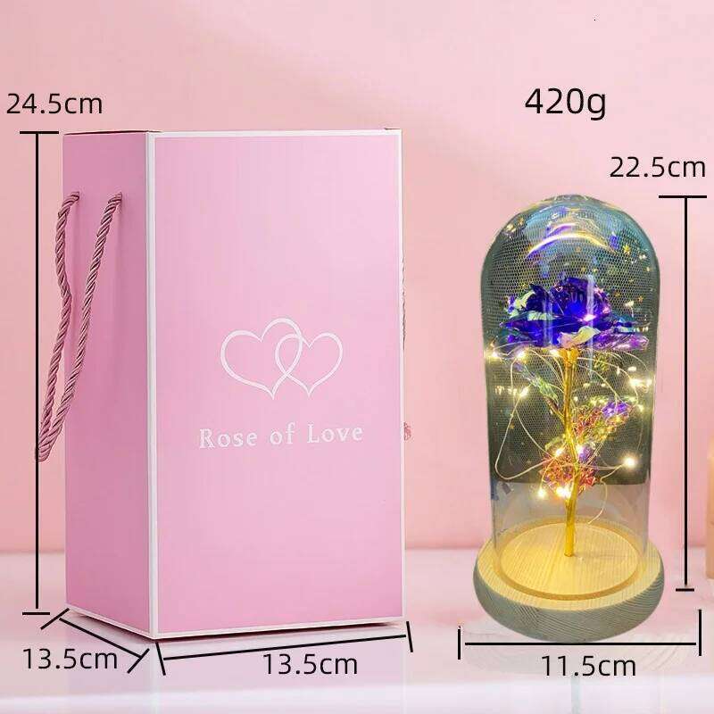 LED Valentine For Girlfriend Eternal Rose Light 24K Gold Foil Flower In Glass Cover Mothers Day Wedding Bridesmaid Gift S260204