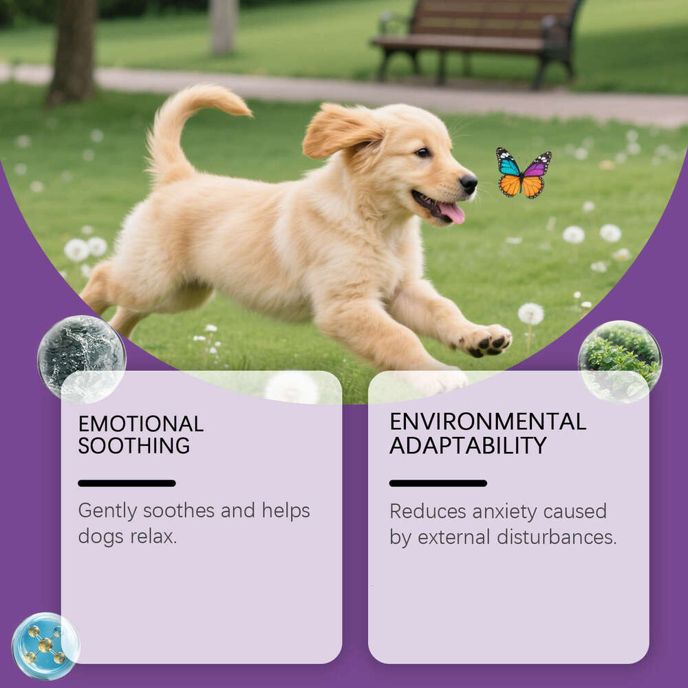 Yegbong Dog Gentle Ingredients Fresh for Pets Discomfort External Use Care Spray S260203