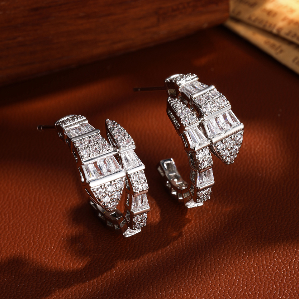 Full diamond zircon snake-shaped earrings for women, light luxury niche design, high-end earrings, trendy new style with internet celebrity vibe - view 5