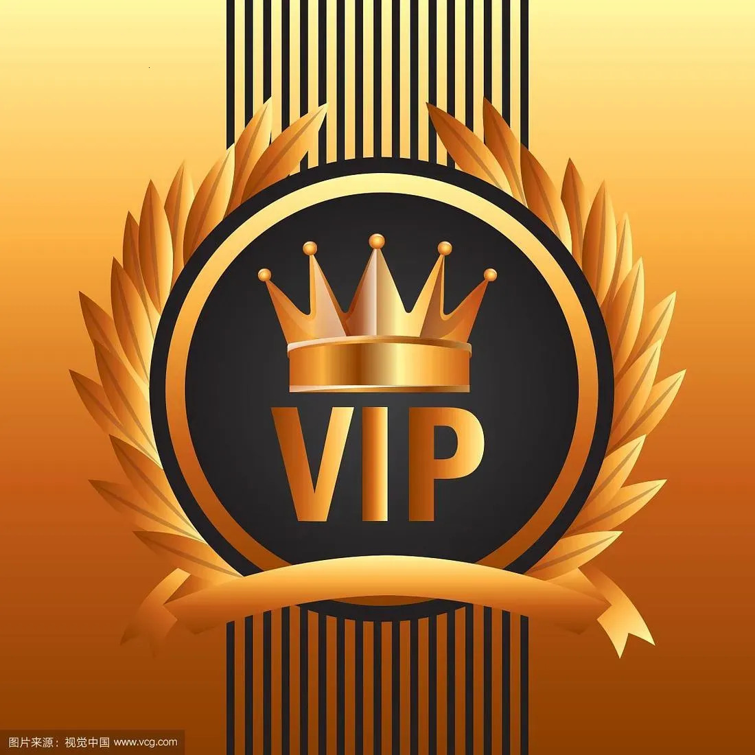This is a VIP ,only for pay link Need contact customer service hot