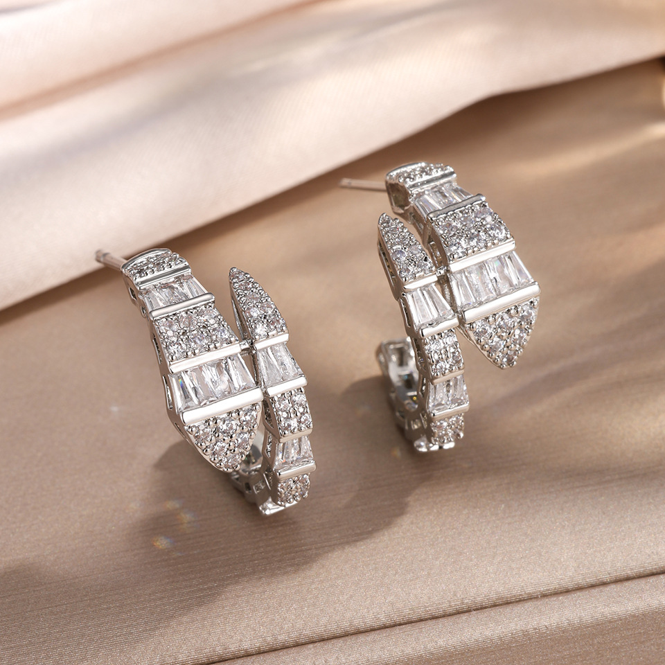 Full diamond zircon snake-shaped earrings for women, light luxury niche design, high-end earrings, trendy new style with internet celebrity vibe - view 7