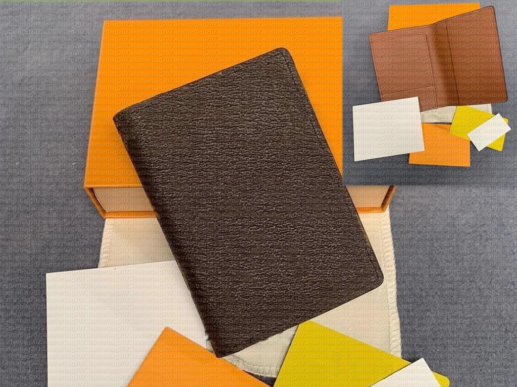 Luxury Designer Bra… - image