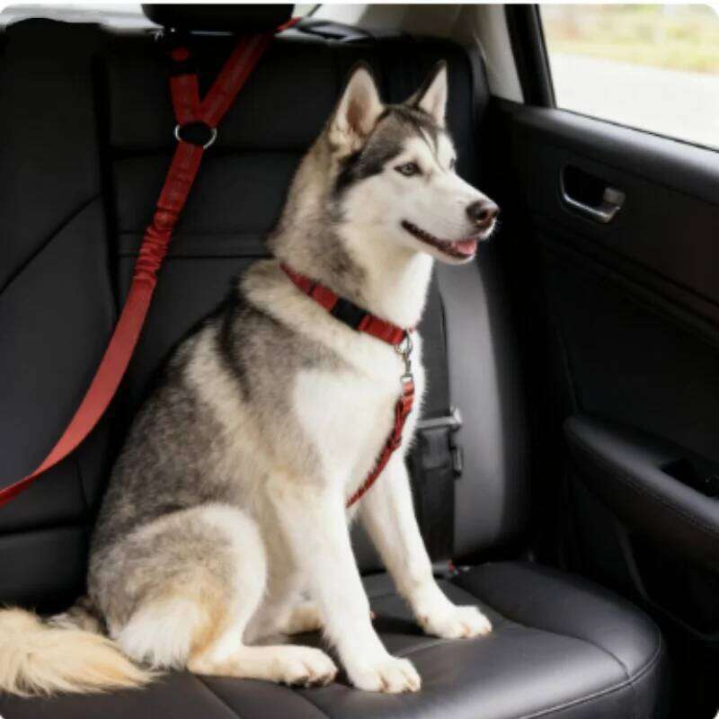 Adjustable Reflective 2-in-1 Car Backseat Belt Durable Nylon Safety Dog Leash for Small to Large Dogs Fashion Pet Travel 26L0205