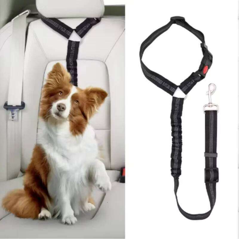 Adjustable Reflective 2-in-1 Car Backseat Belt Durable Nylon Safety Dog Leash for Small to Large Dogs Fashion Pet Travel 26L0205