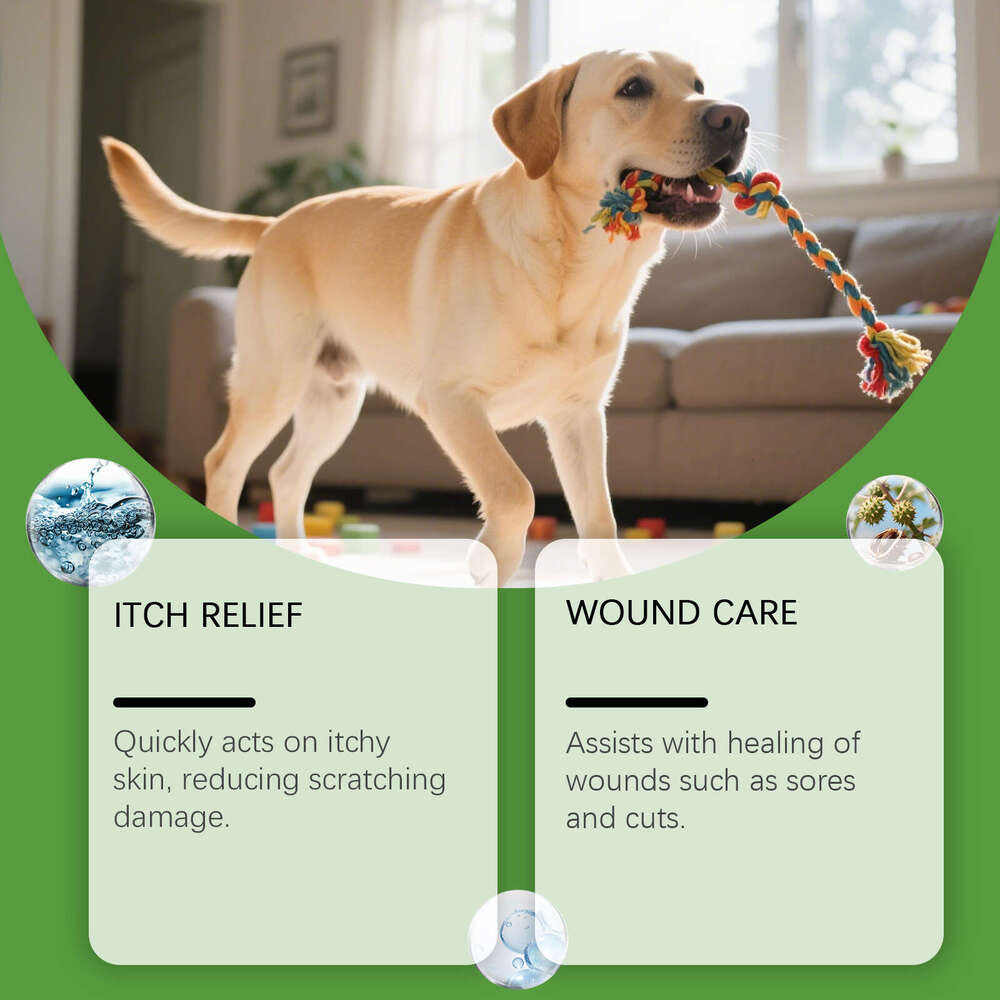 Yegbong Dog Gentle and Fast-Acting Care for Skin Discomfort Cleaning Comfort Spray S260203