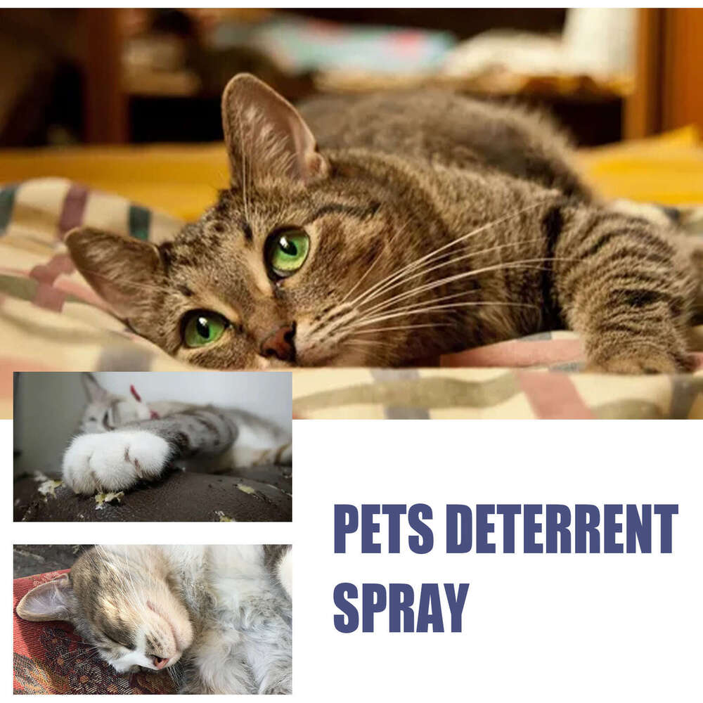 Yegbong Pet Anti-Scratch No-Go Zone Setting Repellent Spray for Cats Dogs Scratching Doors and Sofas Anti-Bite S260203