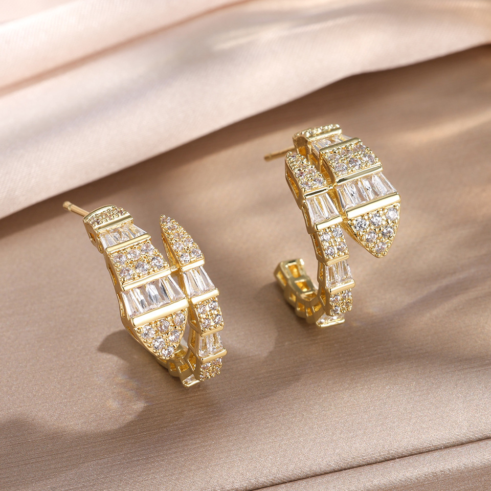 Full diamond zircon snake-shaped earrings for women, light luxury niche design, high-end earrings, trendy new style with internet celebrity vibe - view 6