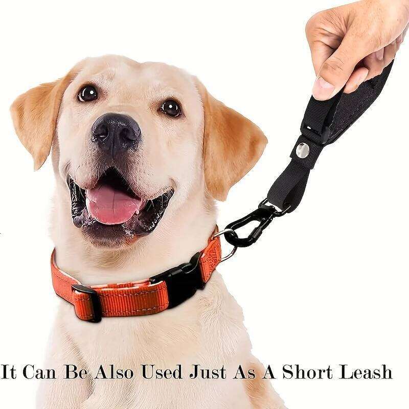 Pet Anti-Fall Wristband,Retractable Leash Dogs, Non-Slip Adjustable Dog Walking Strap - Convenient for Taking Pets Outside 26L0205