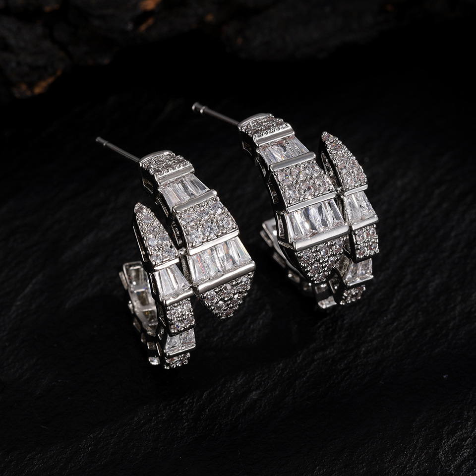 Full diamond zircon snake-shaped earrings for women, light luxury niche design, high-end earrings, trendy new style with internet celebrity vibe - view 3