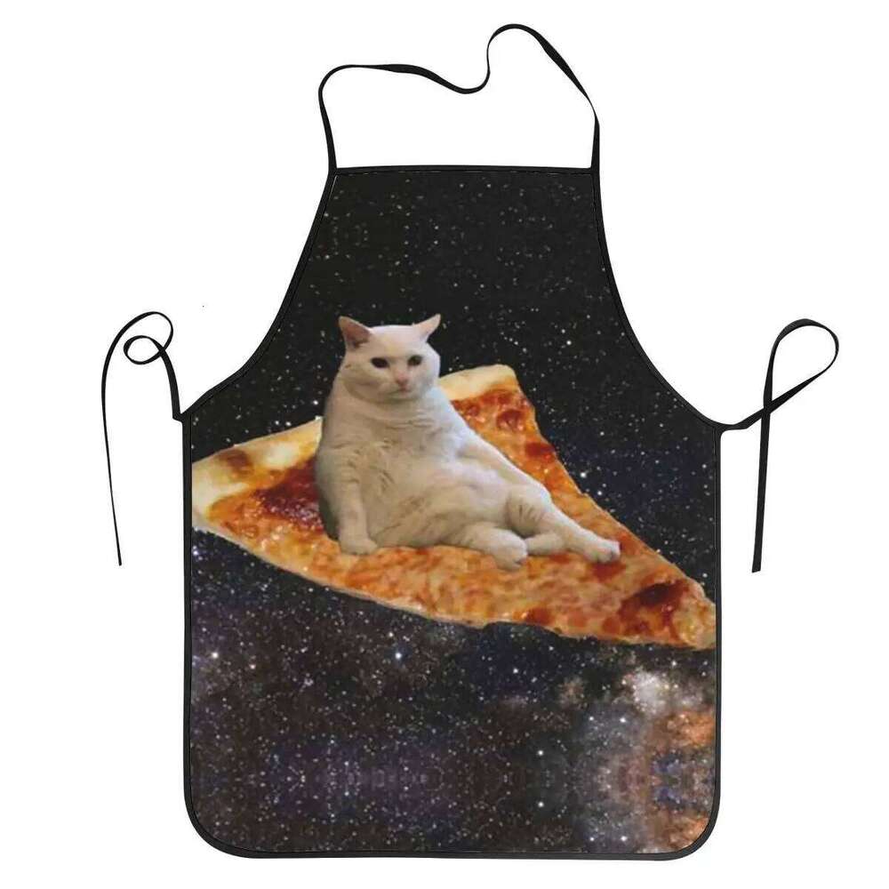 Unisex Space Pizza Cat Meme Bib Apron Adult Women Men Chef Tablier Cuisine for Cooking Kitchen Funny Animal Baking S260205