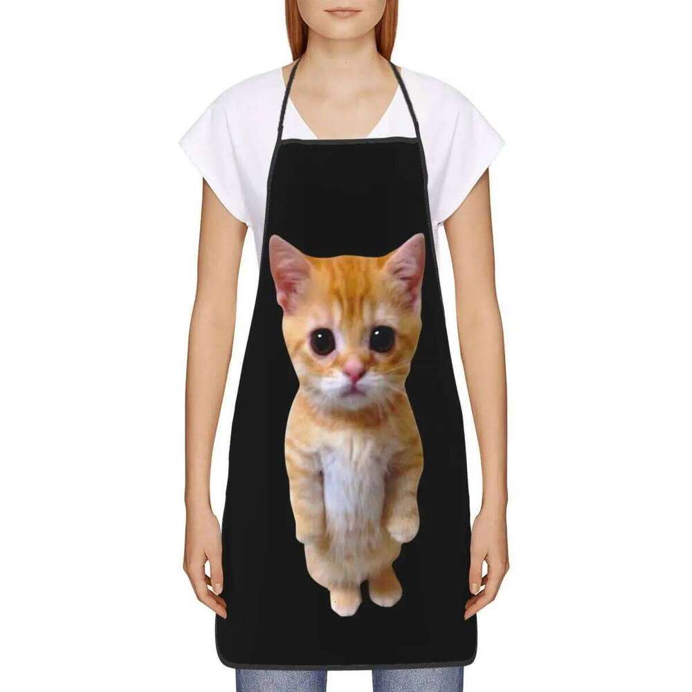 Custom Unisex Funny Cat Bib Apron Adult Women Men Chef Tablier Cuisine for Cooking Kitchen Gardening S260205
