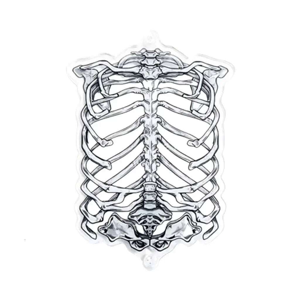 3-Inch Mini Acrylic Frame,Gothic Card Gumei Display Skull Skeleton Frame Can Accommodate Photo Size 5.5x8.5cm S260205
