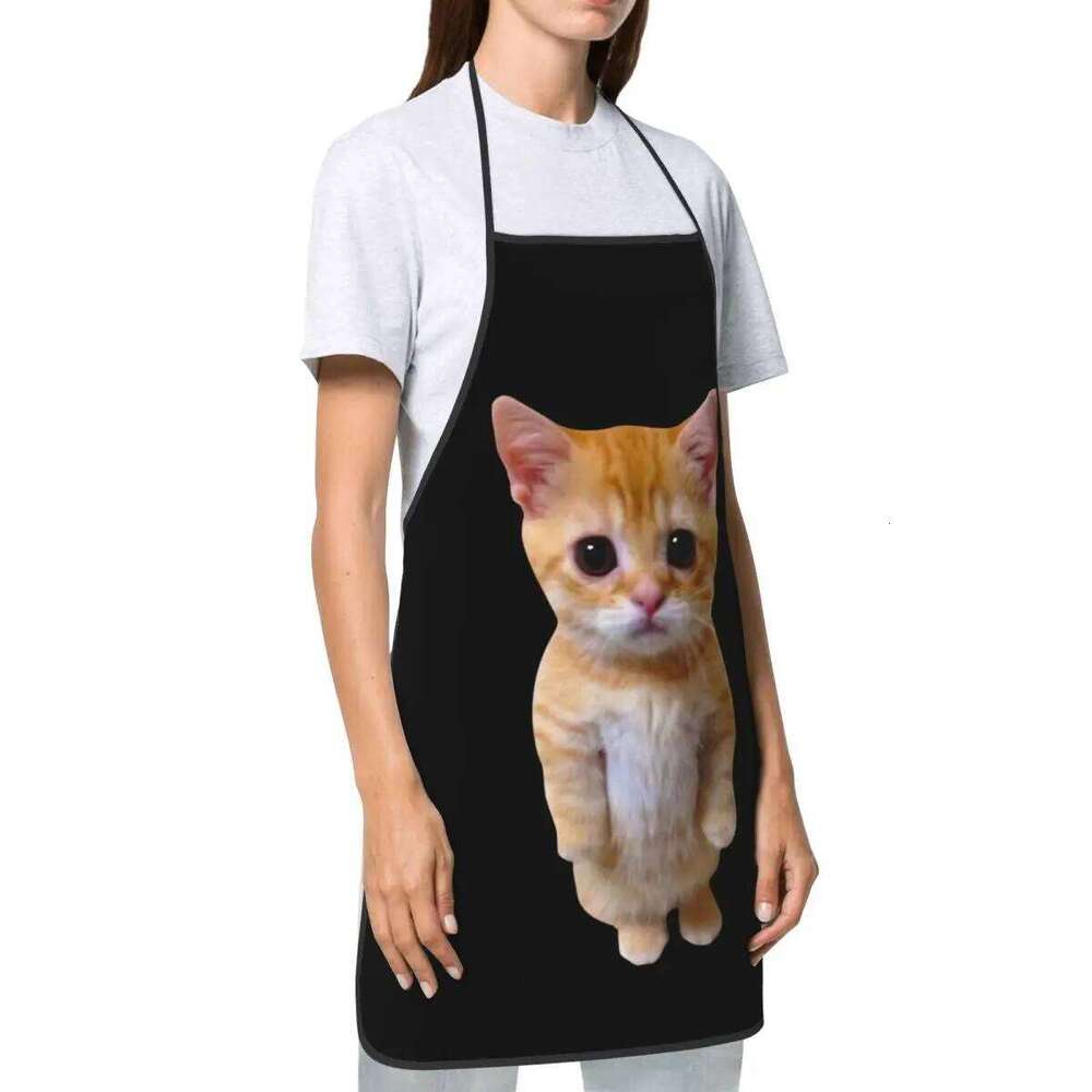 Custom Unisex Funny Cat Bib Apron Adult Women Men Chef Tablier Cuisine for Cooking Kitchen Gardening S260205