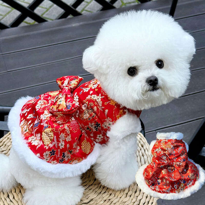 Pet New Year Outfit 3D Butterfly Leash Dog Festive Teddy Bichon Cat Winter Clothes