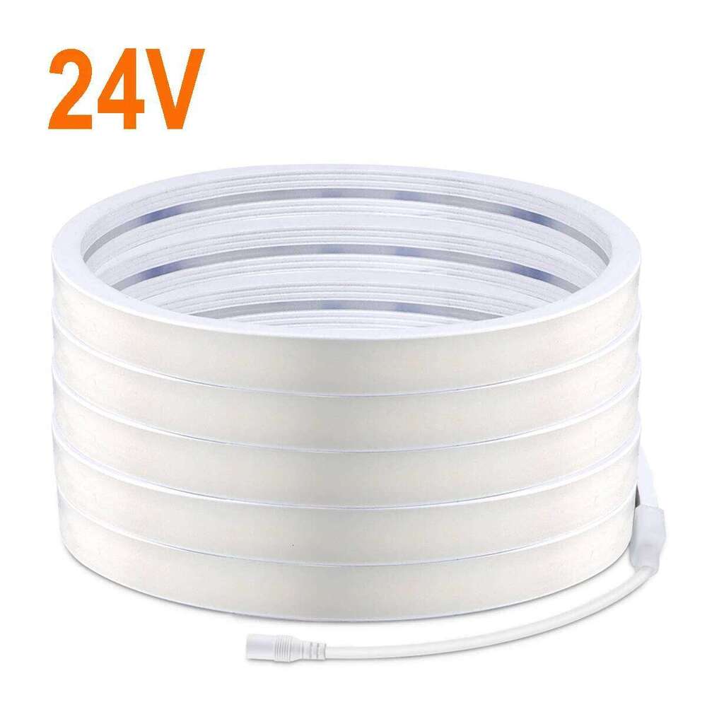 1 Roll Single Neon Strips 320LEDs Strip 24V COB LED Light DC Female Waterproof Flexible -No Power Plug Z260206