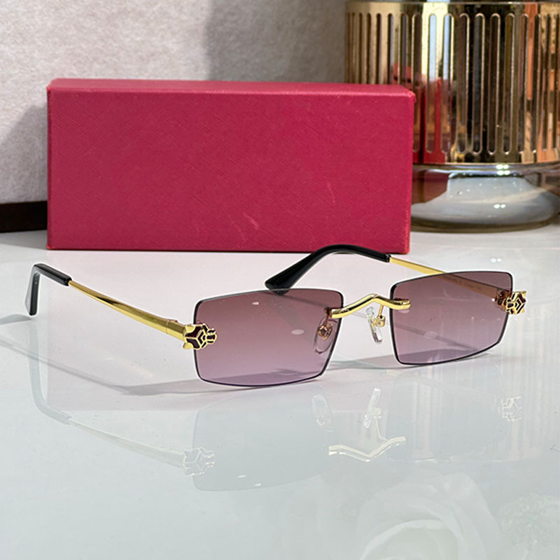 Panthere De Occhial… - image