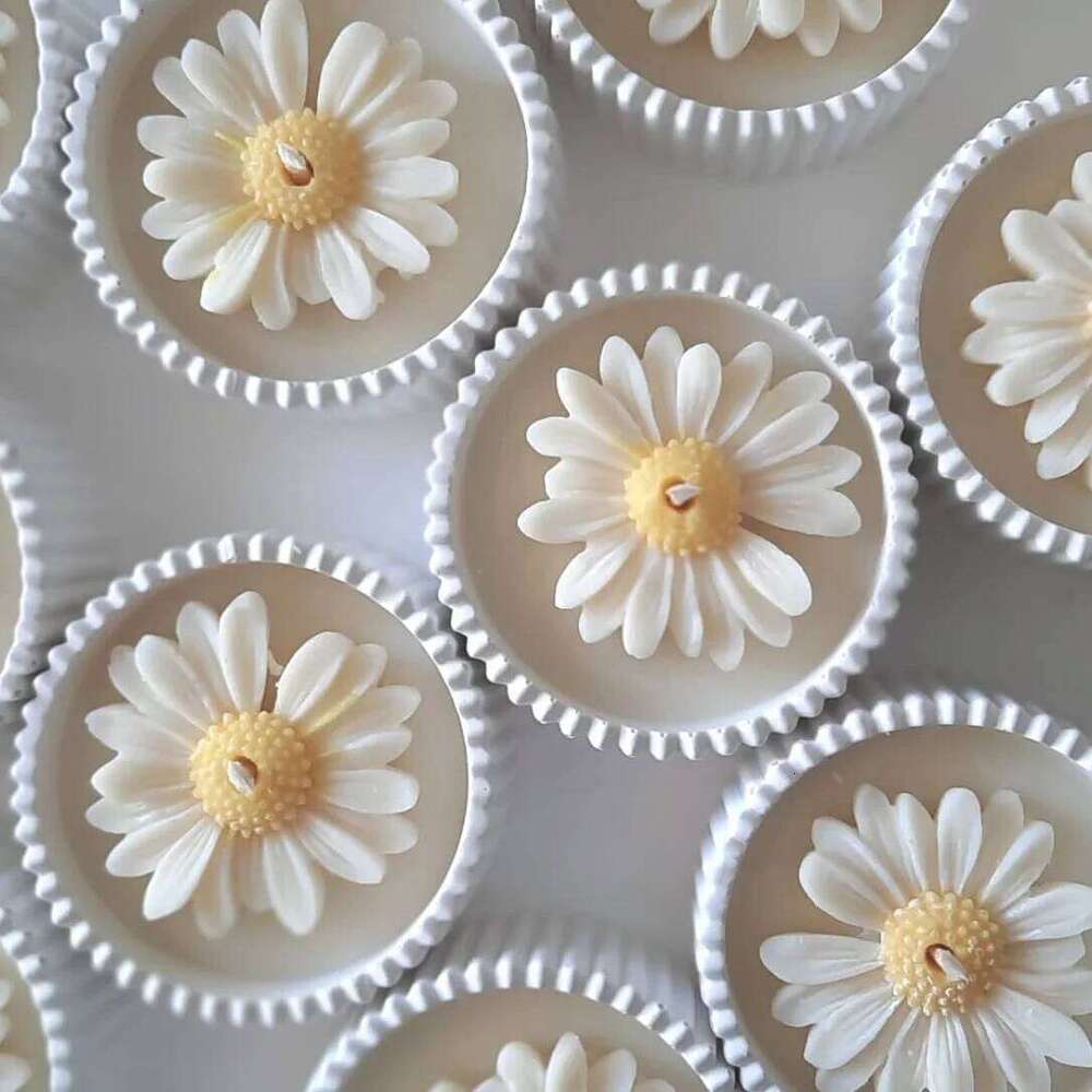 Handmade Daisy Gypsum with Unique Container, Pear Freesia Scented Soy Wax Candle Home, Aromatherapy Gift for Women S260205