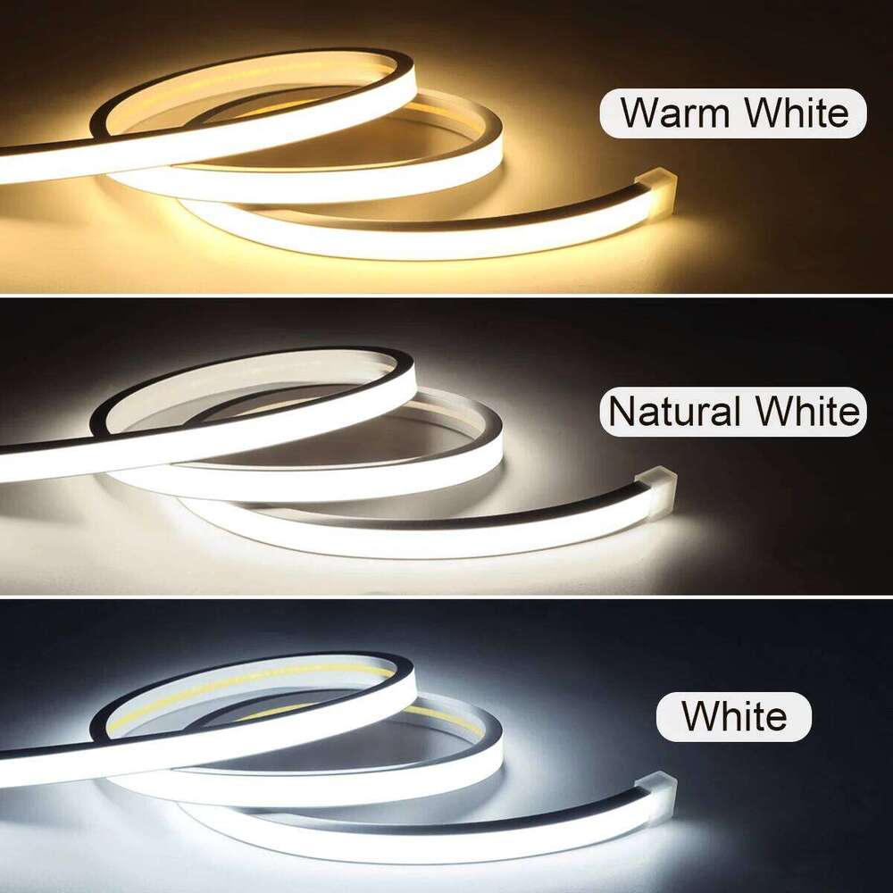 1 Roll Single Neon Strips 320LEDs Strip 24V COB LED Light DC Female Waterproof Flexible -No Power Plug Z260206