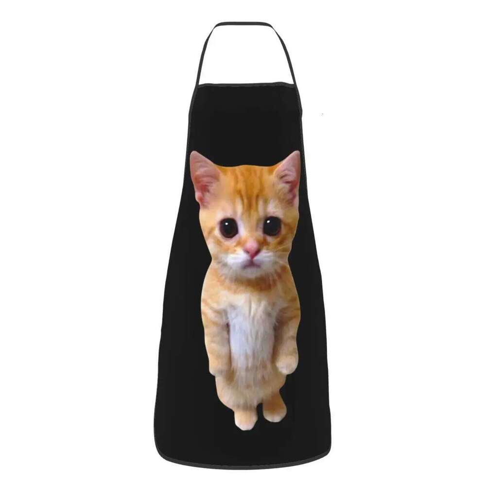 Custom Unisex Funny Cat Bib Apron Adult Women Men Chef Tablier Cuisine for Cooking Kitchen Gardening S260205