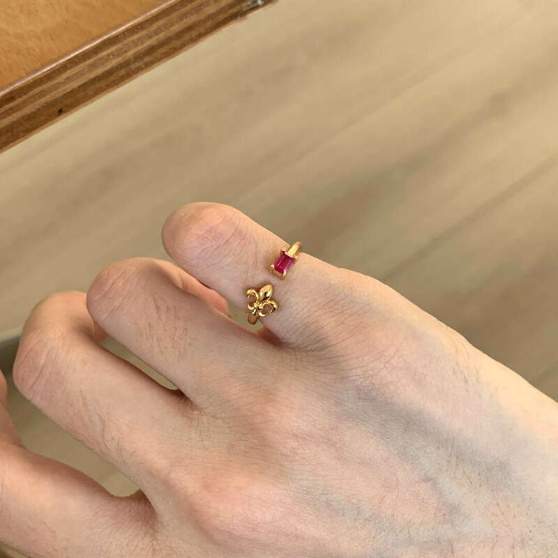 Xiaohongshu Hot-Selling Seal Iris Flower Ruby for Women Ancient Court Style Brushed Ring One Piece Dropshipping