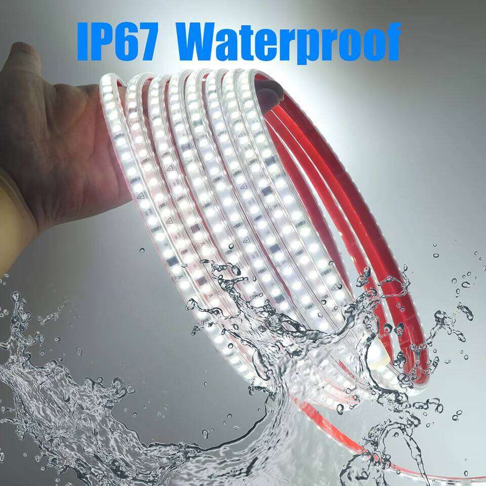 AC 2835 Led Strip Lights Dimmable 220V 230V 120 LEDs/m 0.5m 1m 2m 5m 10m 20m 50m Waterproof High Brightness Diode Tape Adhesive Z260206