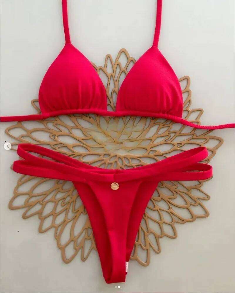 New Split Briefs Bikini Sexy Brazil Swimsuit Women's Beach Vacation Bikin Z260206