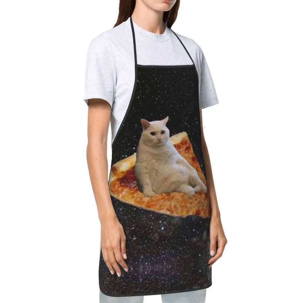 Unisex Space Pizza Cat Meme Bib Apron Adult Women Men Chef Tablier Cuisine for Cooking Kitchen Funny Animal Baking S260205